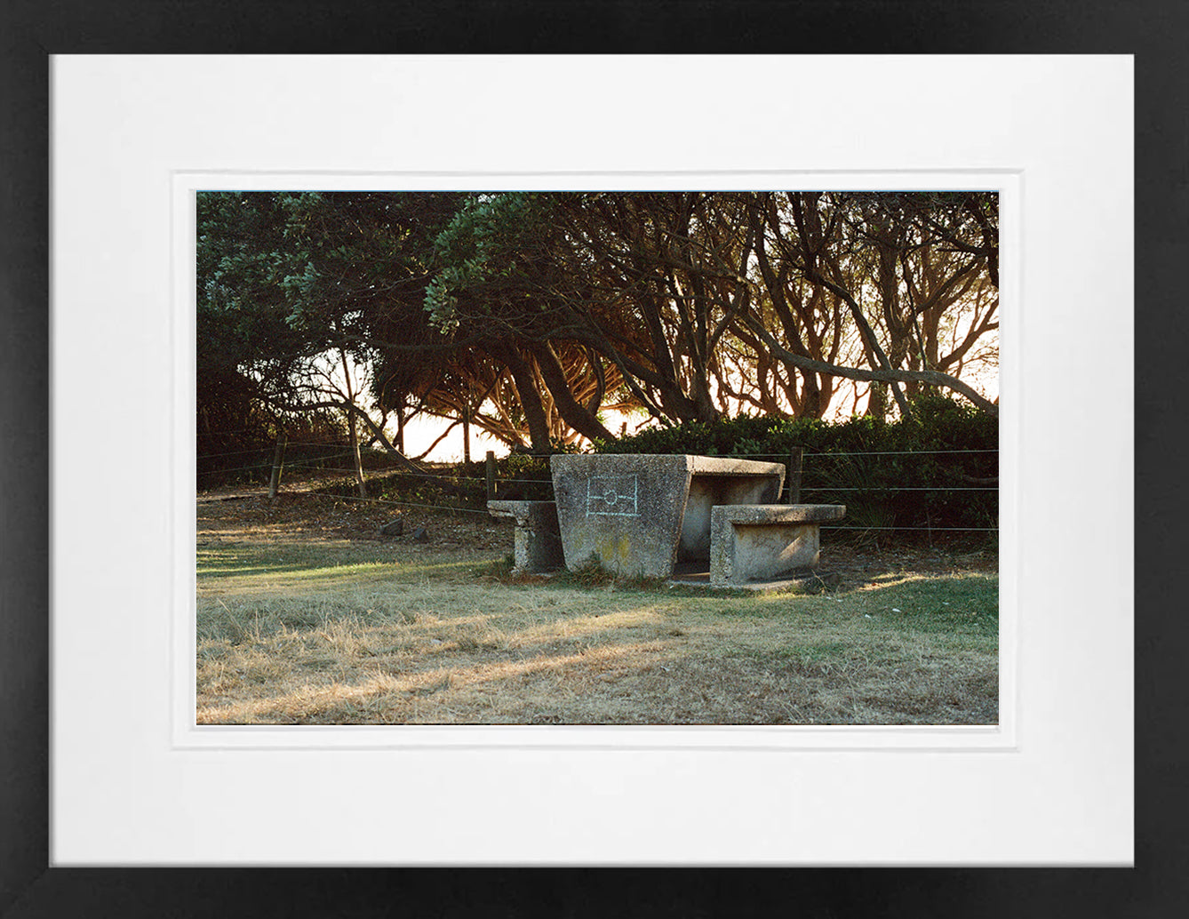 Always Will Be on 35mm