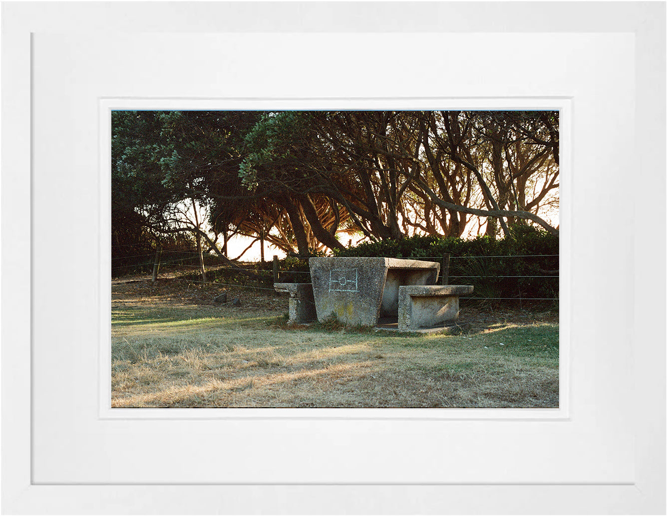 Always Will Be on 35mm