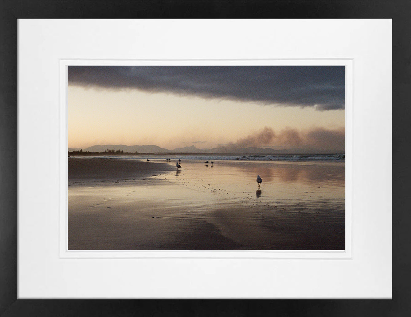 Byron Seagulls on 35mm