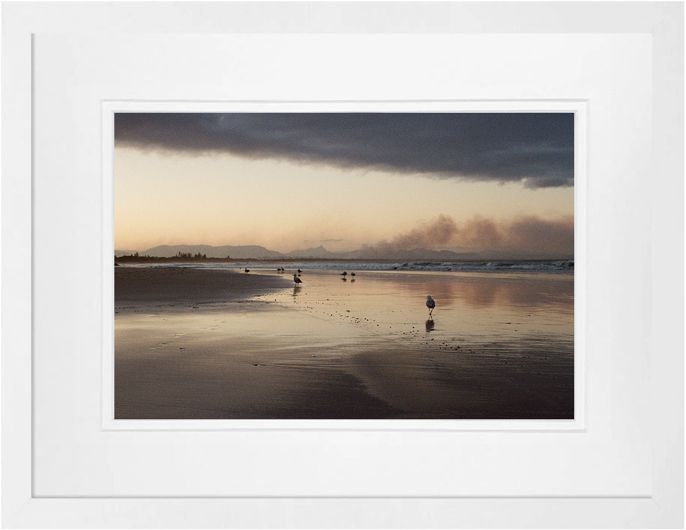 Byron Seagulls on 35mm