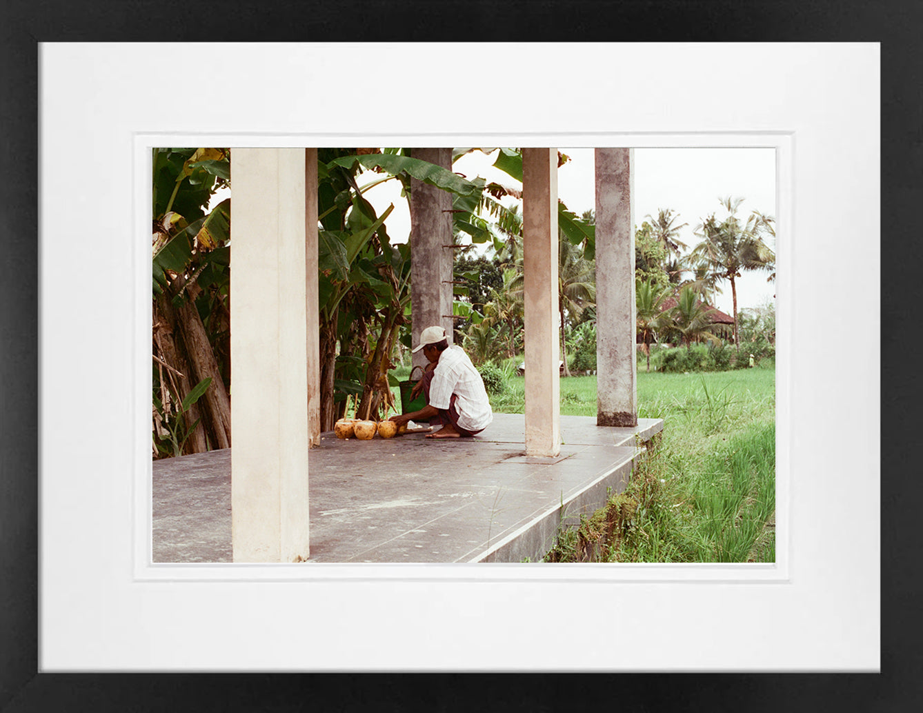 Coconuts on 35mm