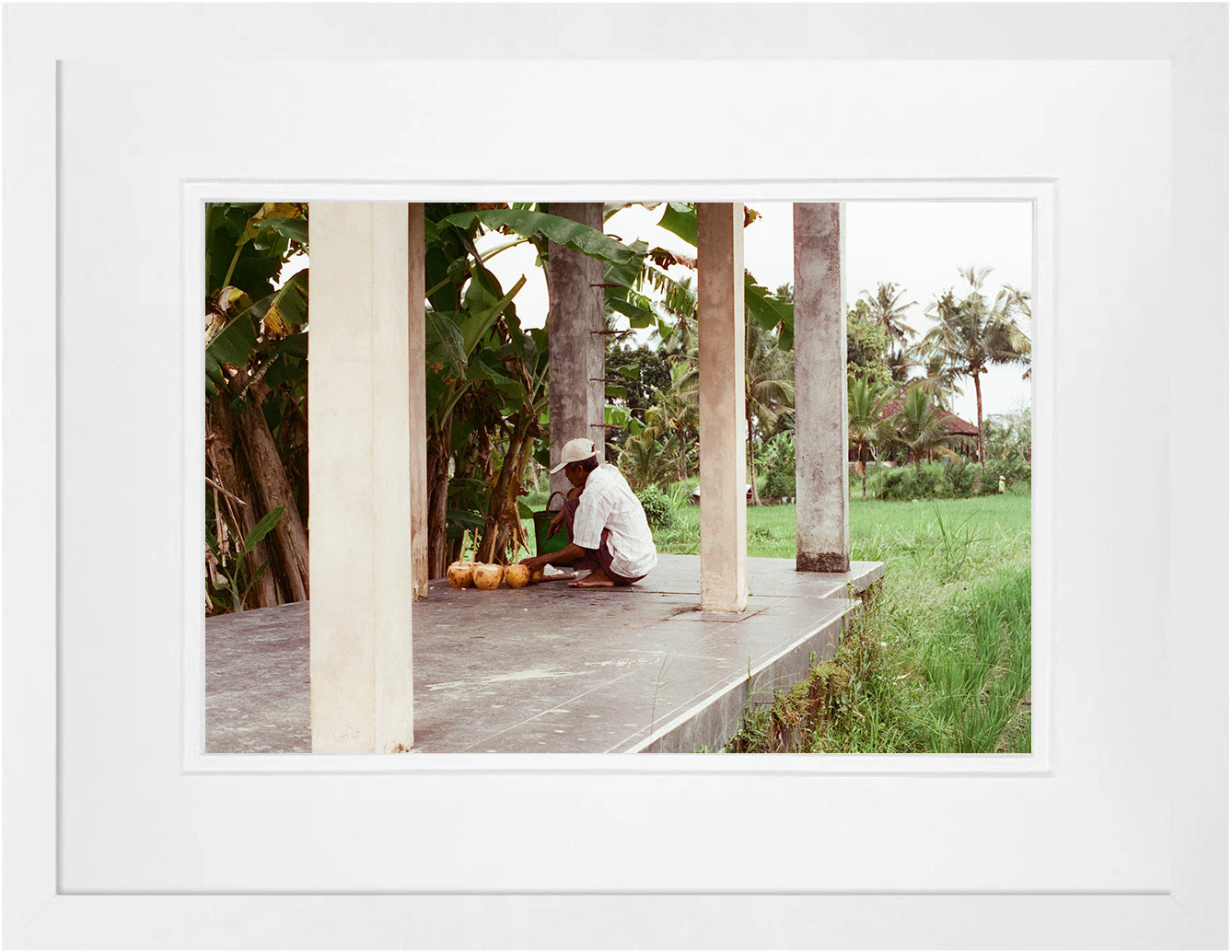 Coconuts on 35mm