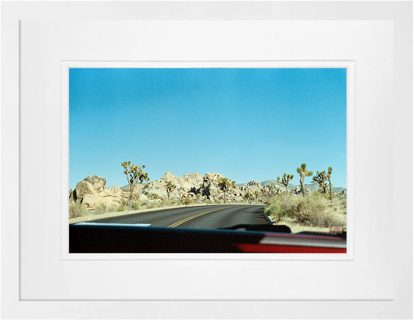 Joshua Tree 2 on 35mm