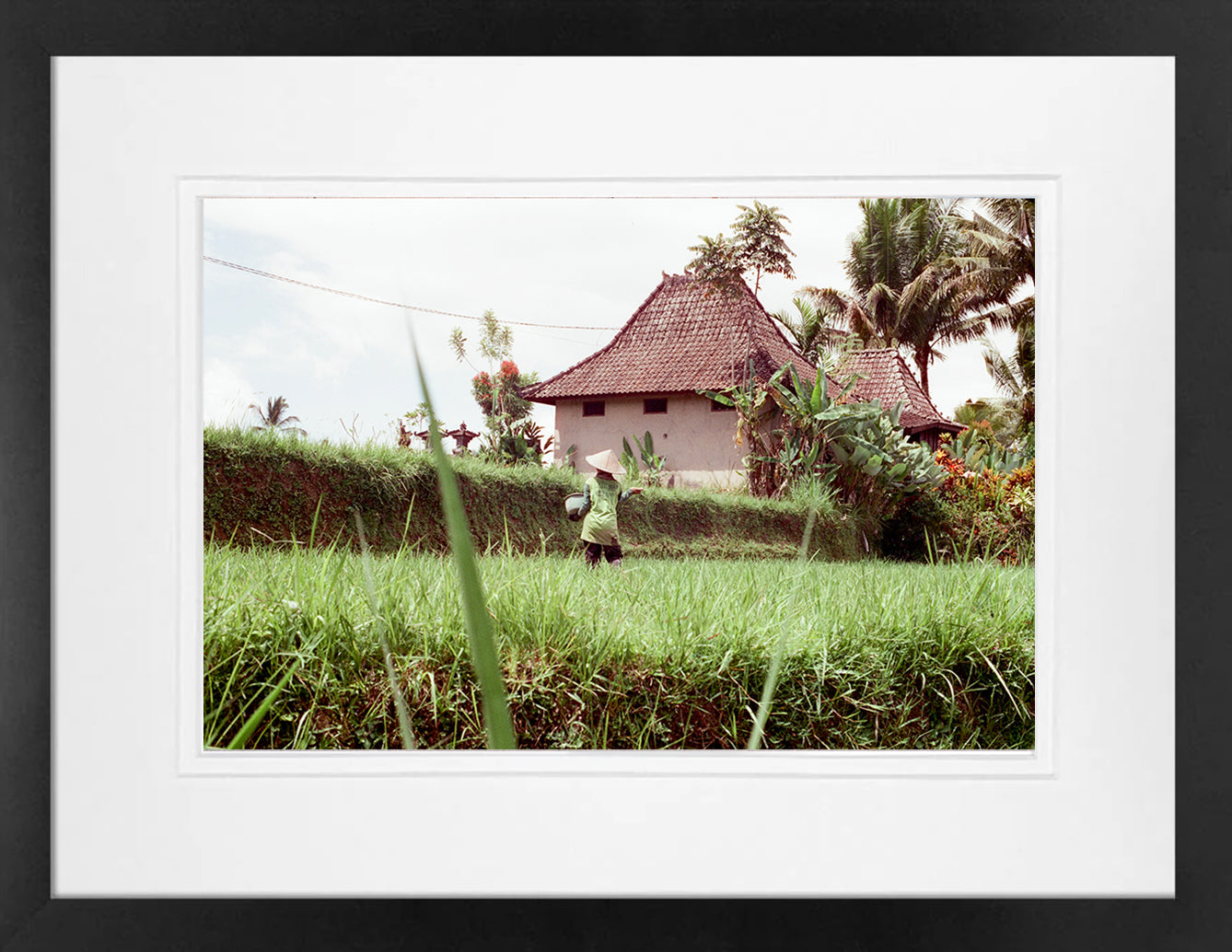 Rice Fields 2 on 35mm