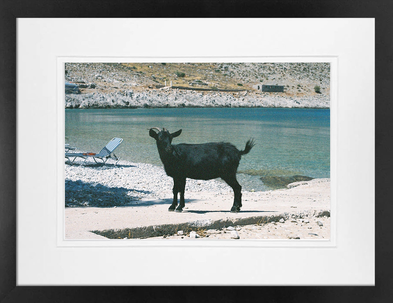 Symi Goat 3 on 35mm