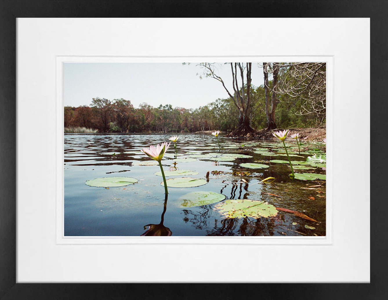 Tea Tree Lake on 35mm