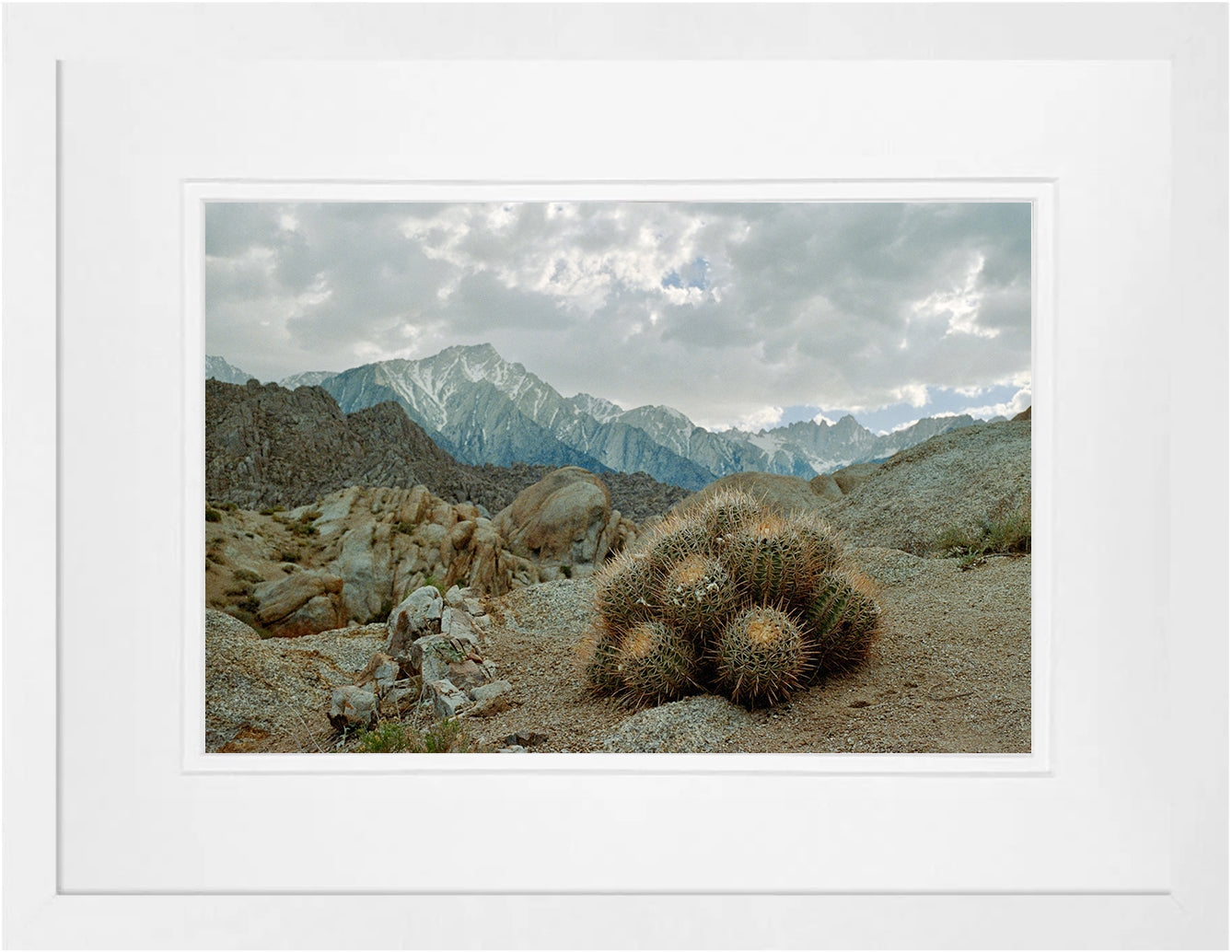 The Sierras on 35mm