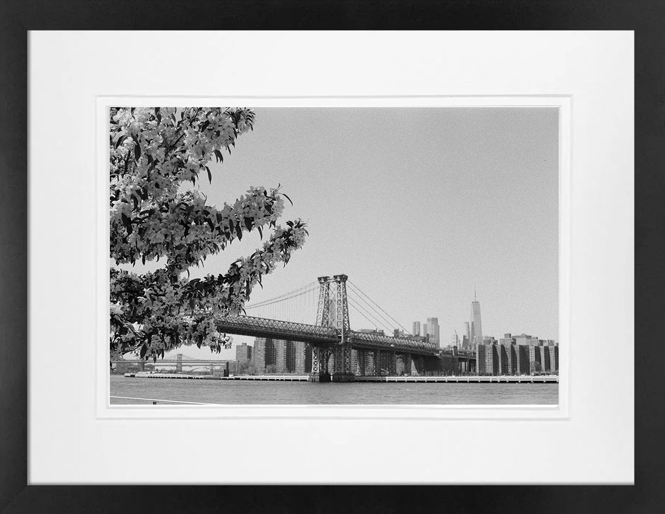 Williamsburg Bridge on 35mm