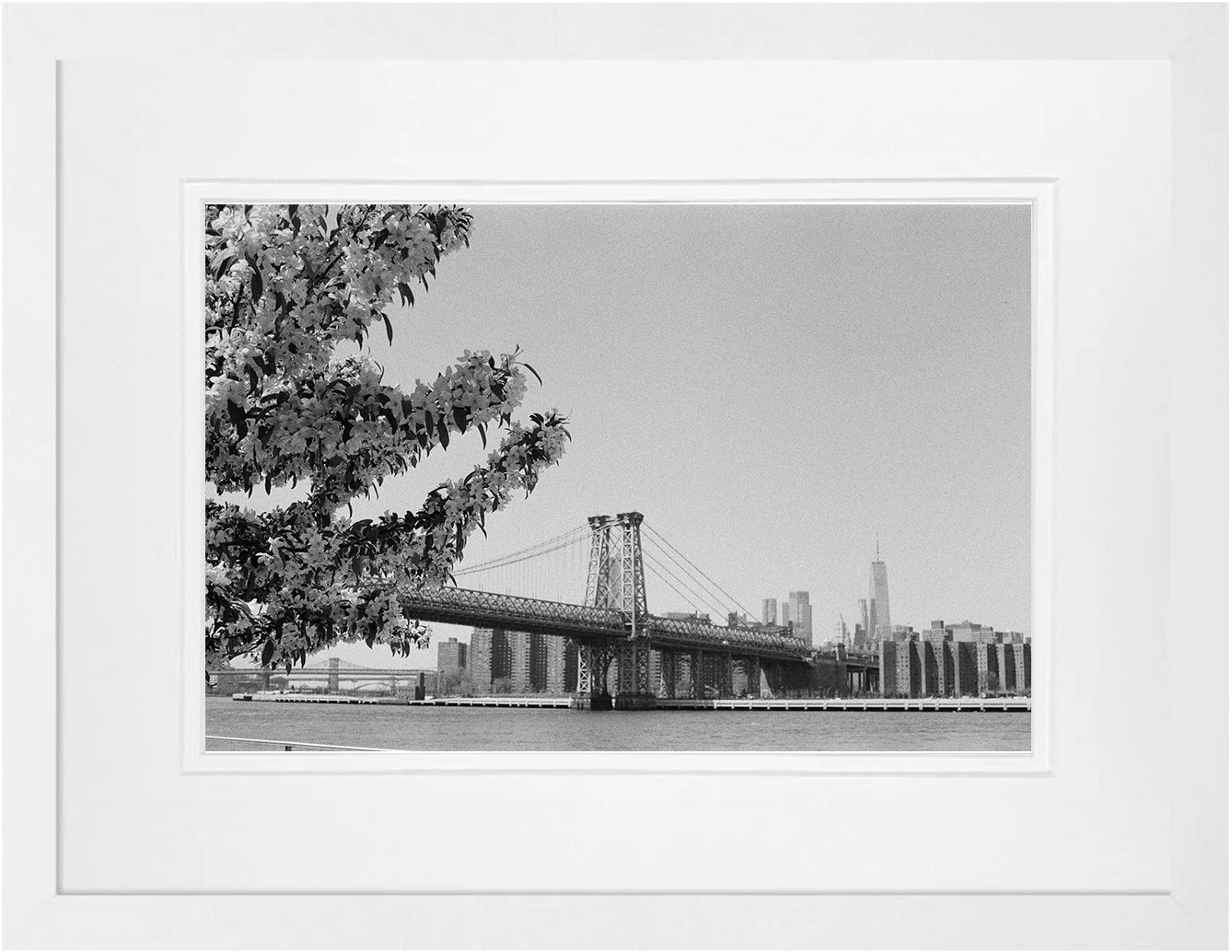 Williamsburg Bridge on 35mm