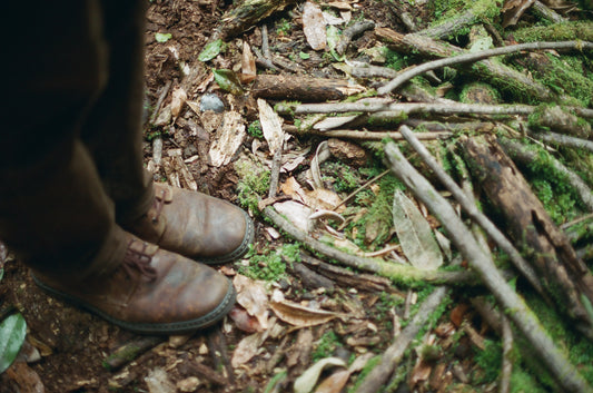 Forest Floor on 35mm