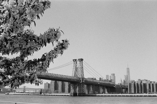 Williamsburg Bridge on 35mm