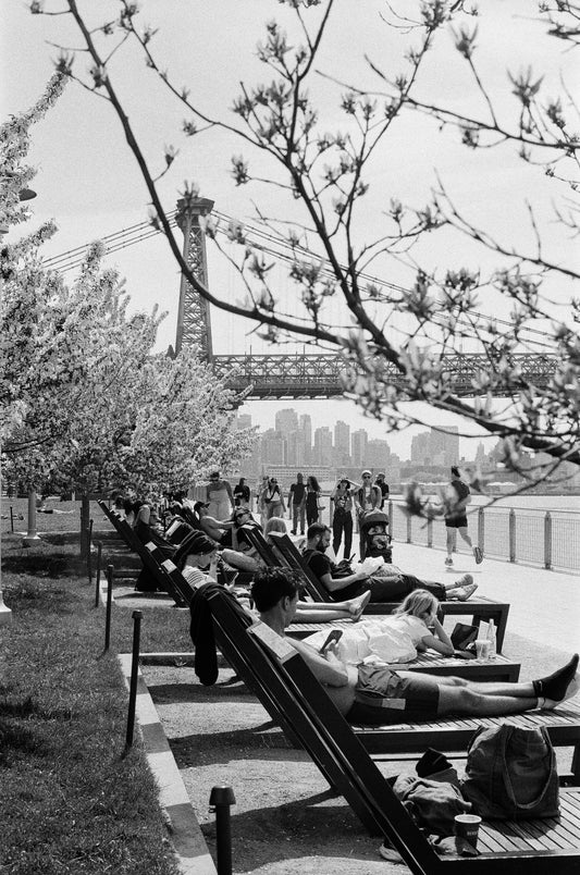 Spring in Domino Park on 35mm