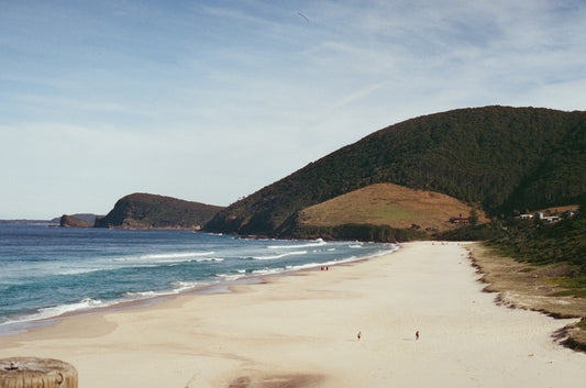 Blueys on 35mm