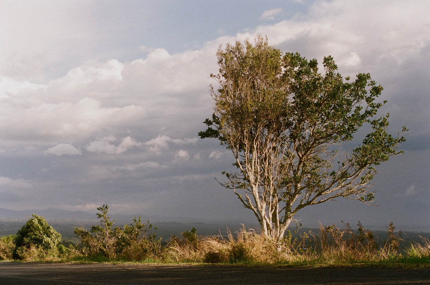 Stormy Road on 35mm