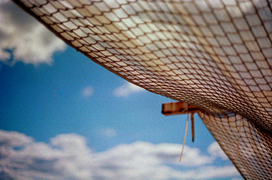 North Bondi Textures on 35mm
