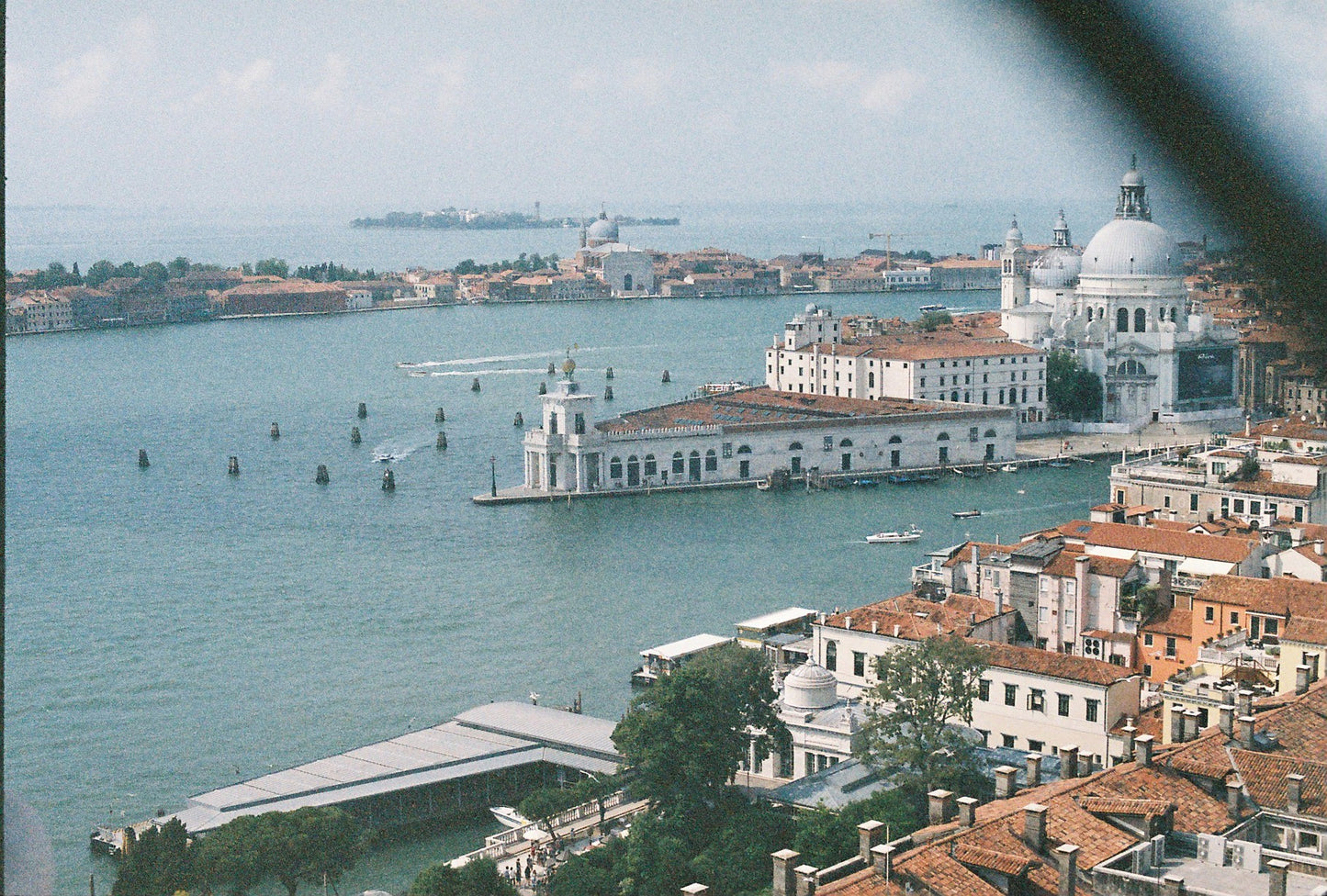 Venice on 35mm