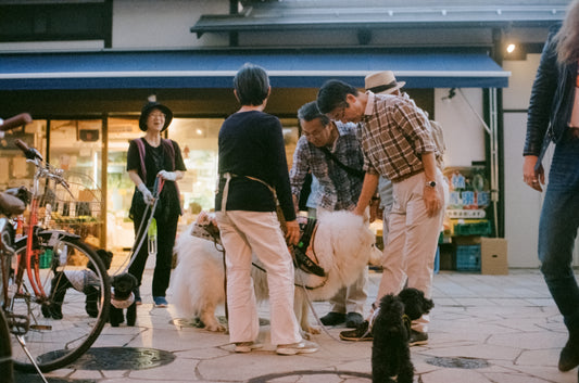 Japanese Dogs on 35mm