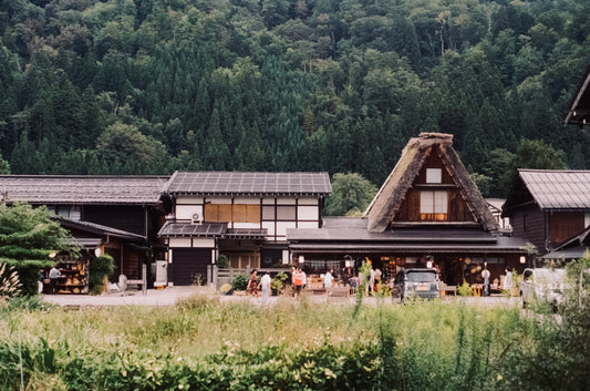 Shirakawa-go on 35mm