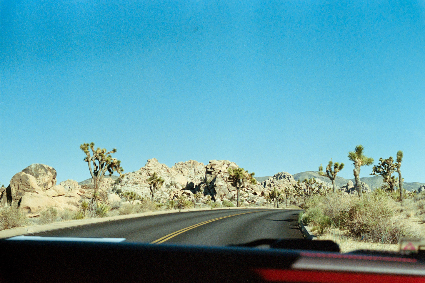 Joshua Tree 2 on 35mm