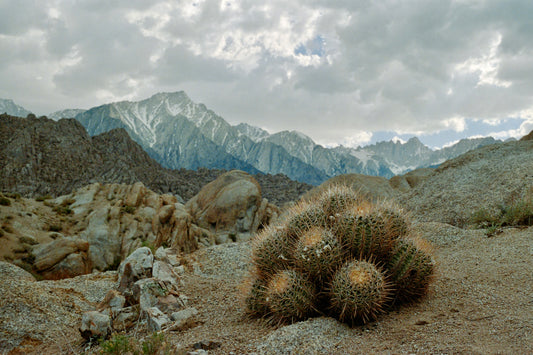 The Sierras on 35mm