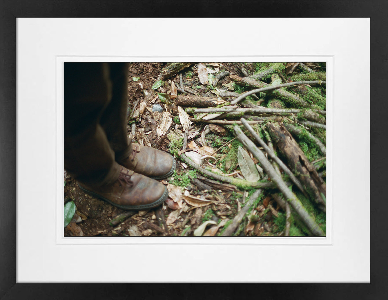 Forest Floor on 35mm