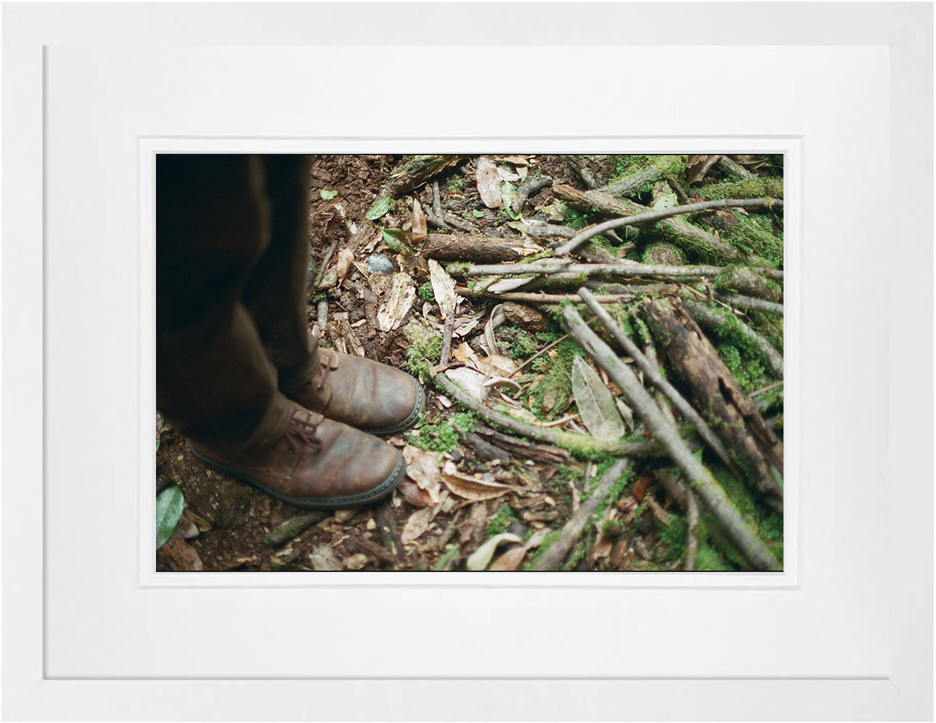 Forest Floor on 35mm