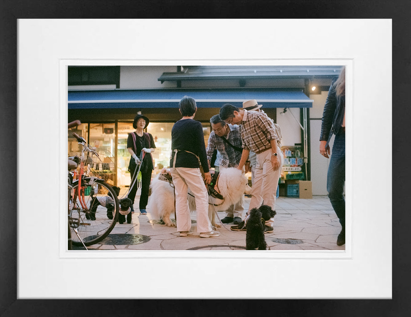 Japanese Dogs on 35mm