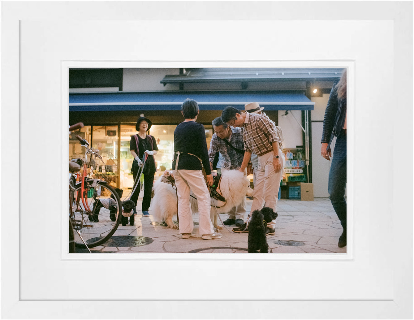 Japanese Dogs on 35mm