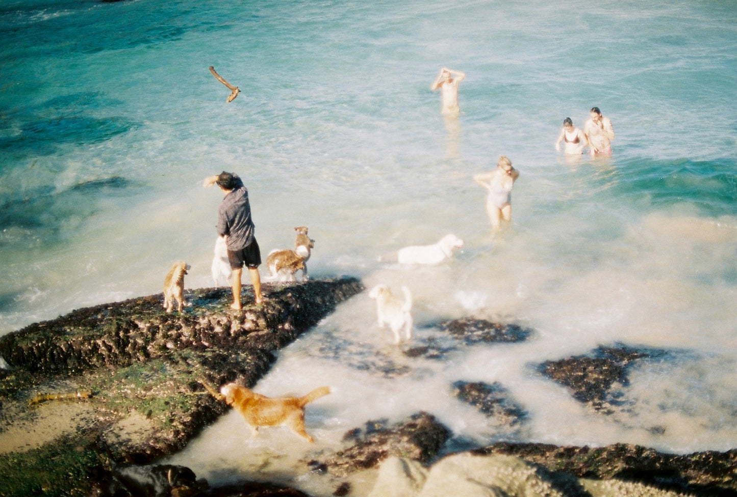 Mackenzies 2 on 35mm