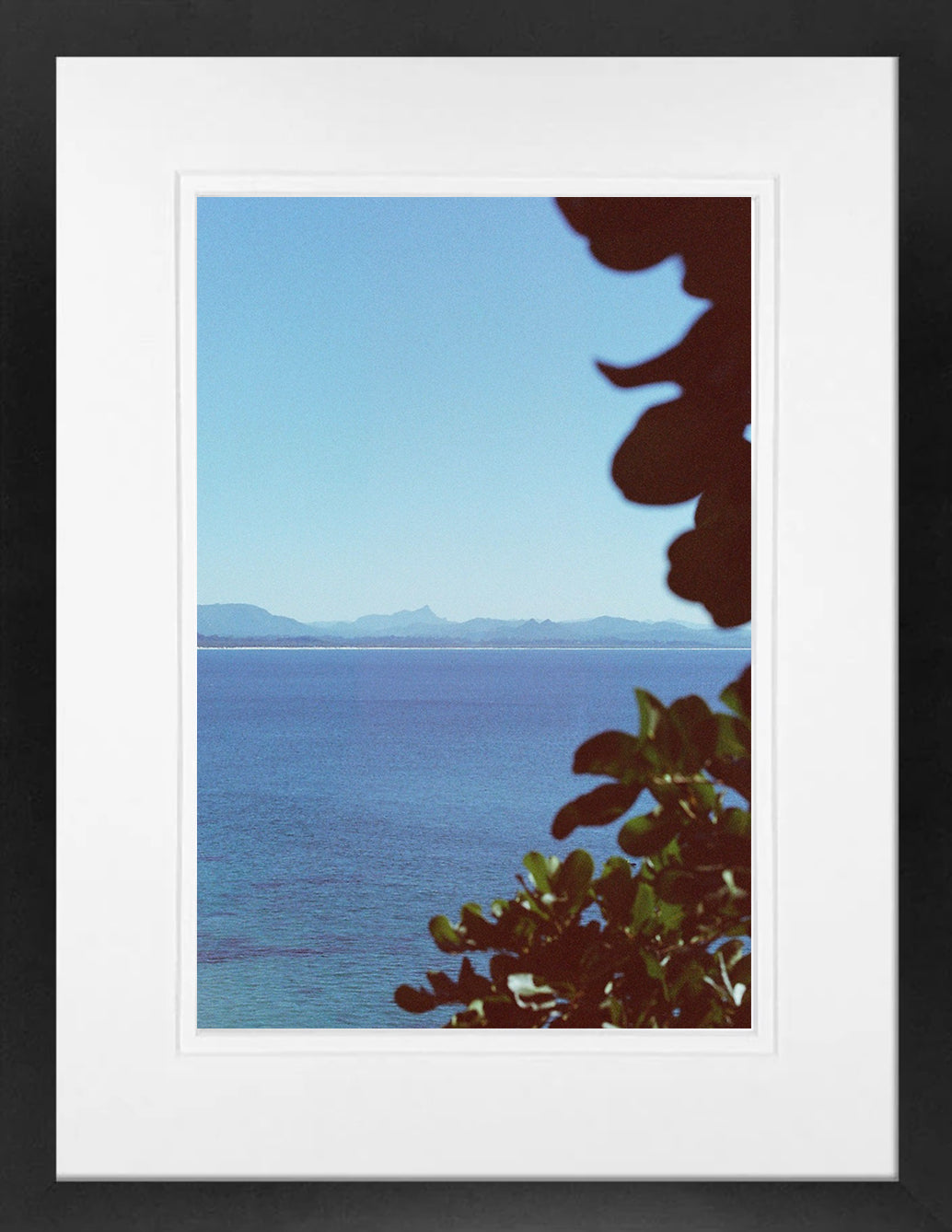 Mt Warning on 35mm