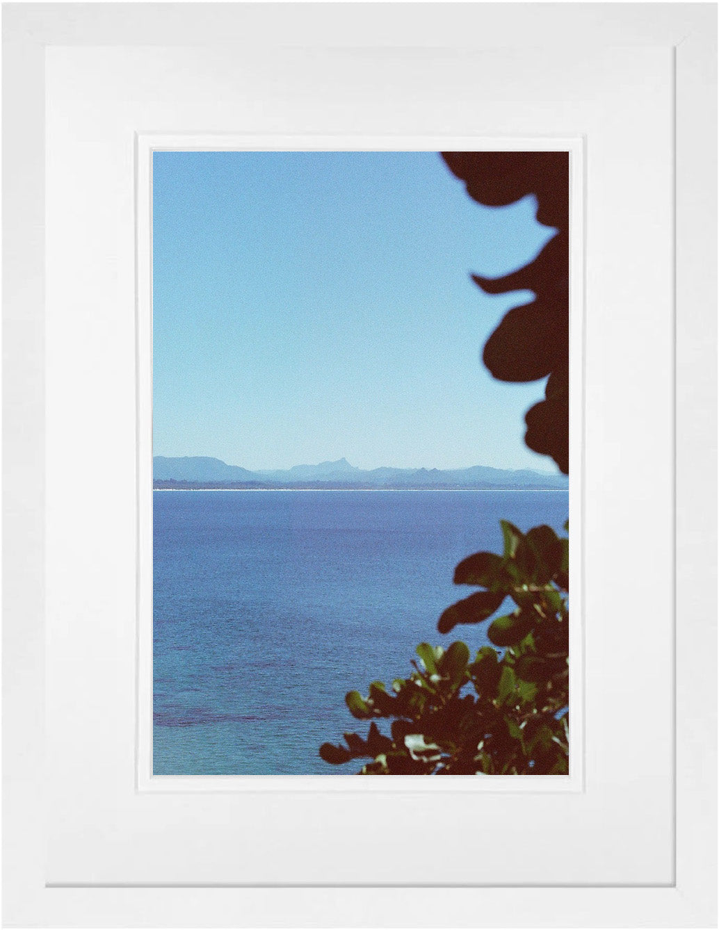 Mt Warning on 35mm