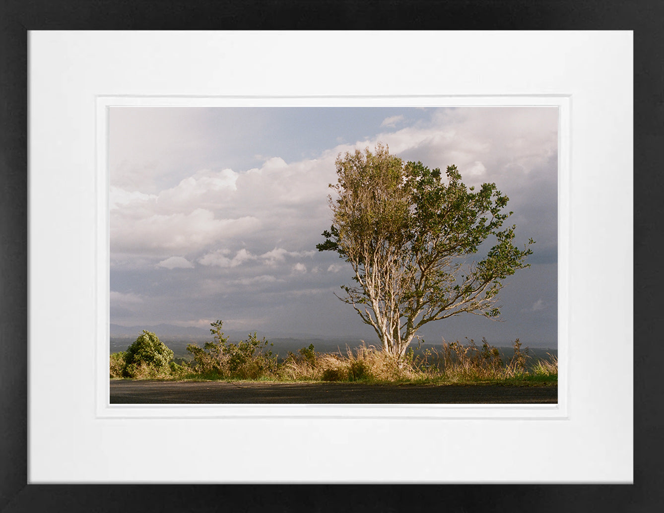 Stormy Road on 35mm