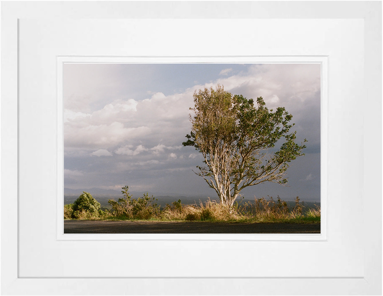 Stormy Road on 35mm