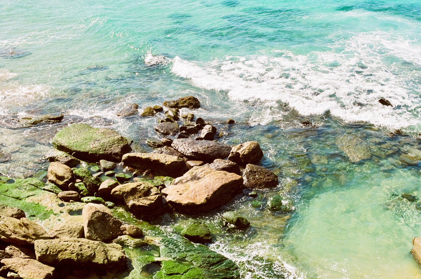 Summer Colours on 35mm
