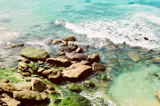 Summer Colours on 35mm