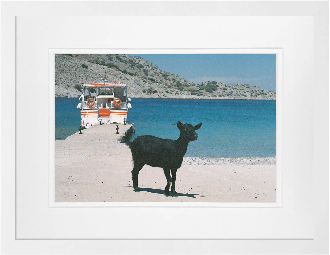 Symi Goat 1 on 35mm