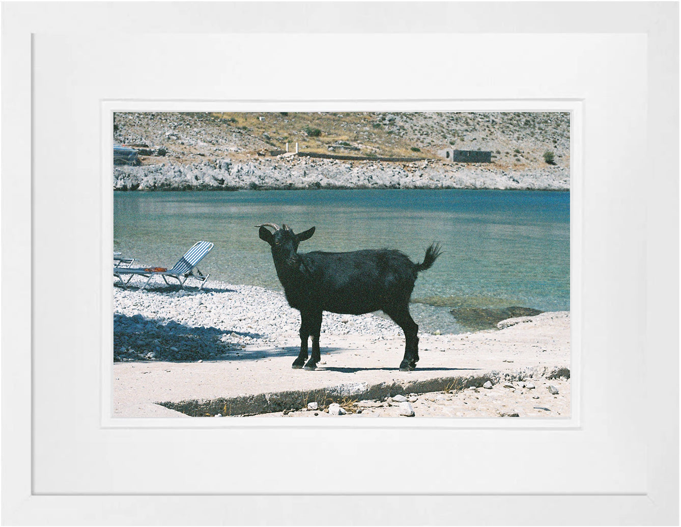 Symi Goat 3 on 35mm