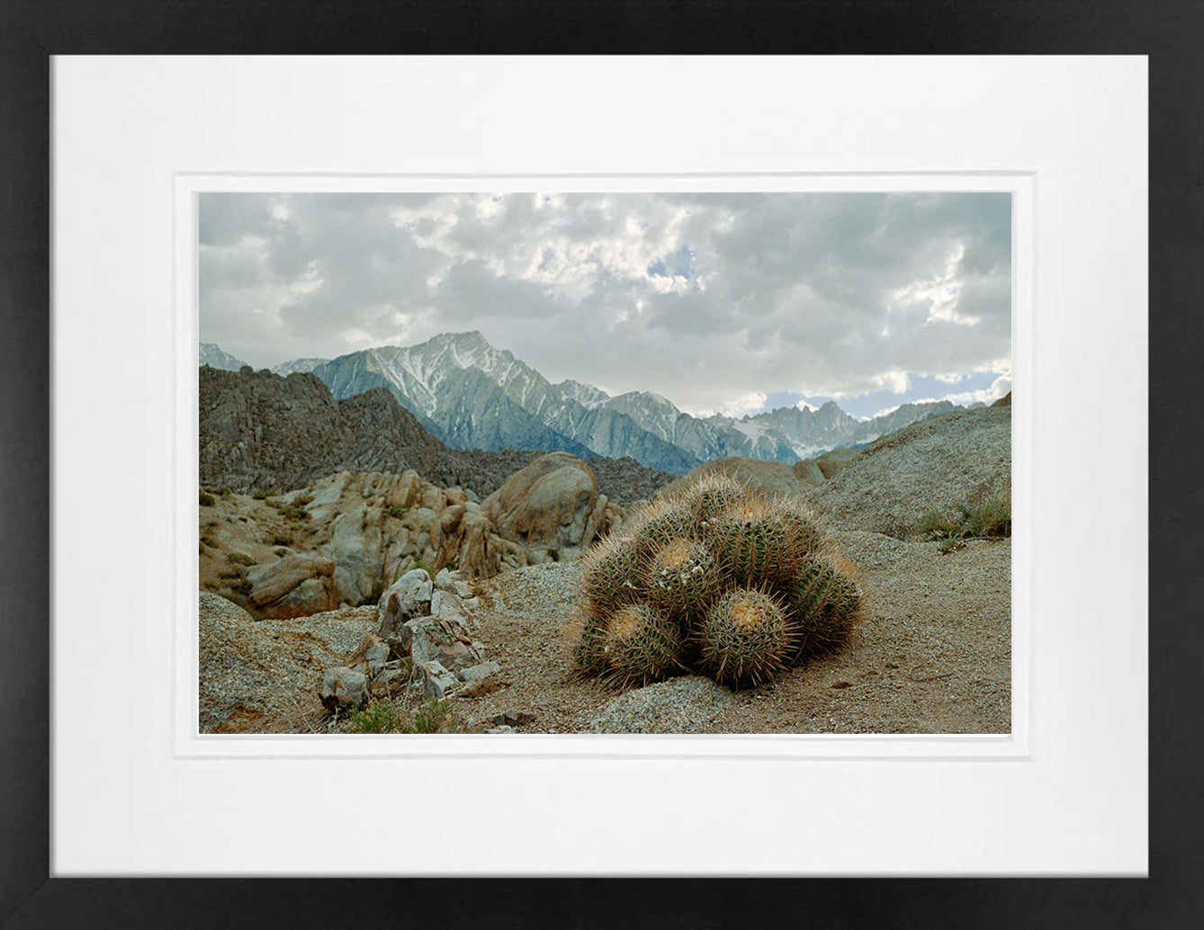 The Sierras on 35mm